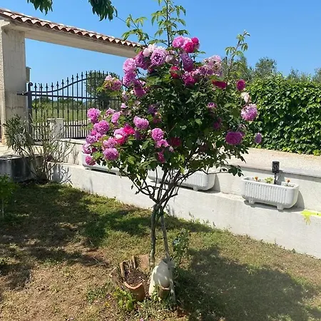Apartamento Vlokje